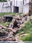 Photos-ZOO\ZOO_10