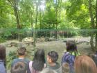 Photos-ZOO\ZOO_18